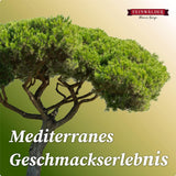 Feinwälder® Pinienkerne unbehandelt und naturbelassen