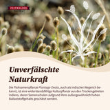 Flohsamenschalen 1kg